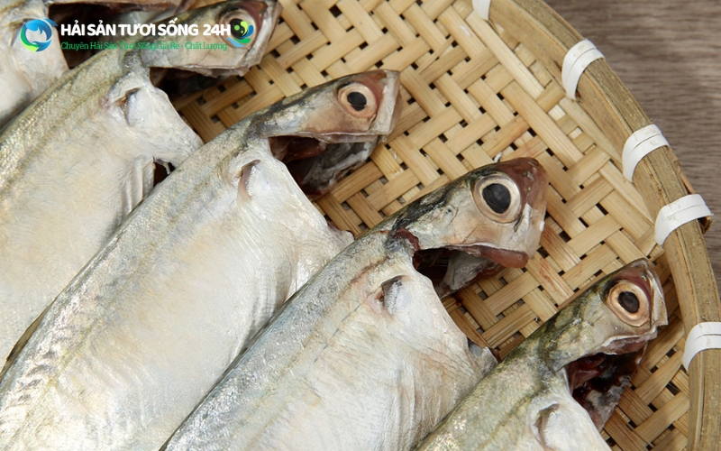 Mua cá nục bạc má ở đâu tươi ngon giá tốt?