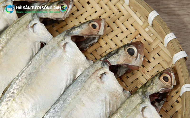Mua cá nục bạc má ở đâu tươi ngon giá tốt?