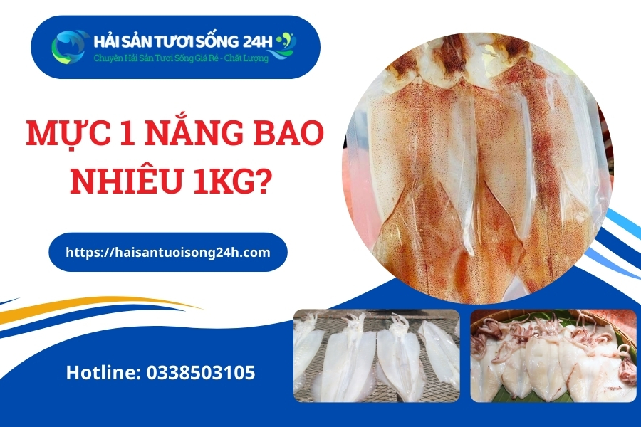 Mực 1 nắng bao nhiêu 1kg? Địa chỉ mua mực 1 nắng giá rẻ ở TP Hồ Chí Minh