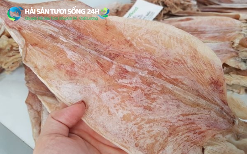 Mực 1 nắng là gì?