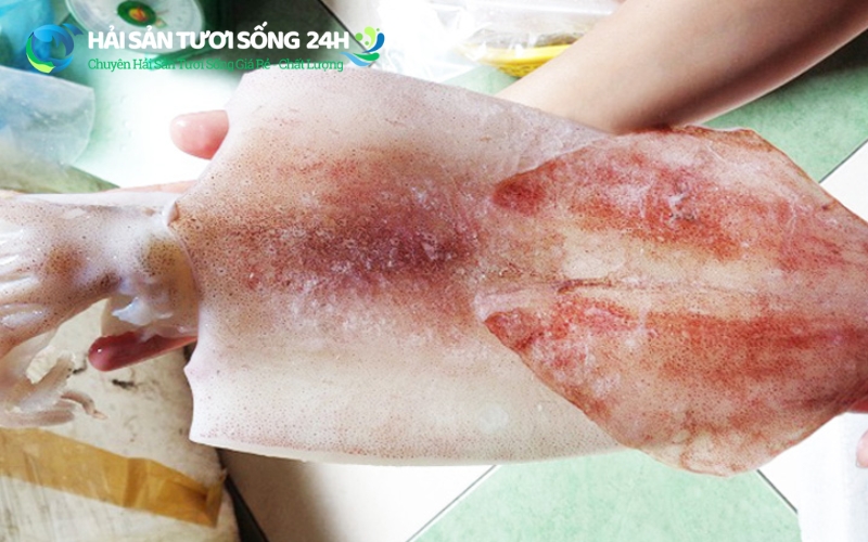 Mực 1 nắng là gì?