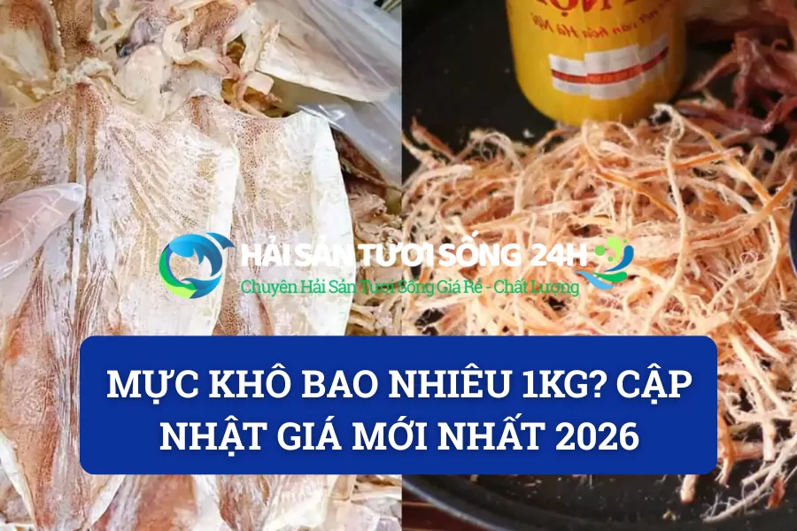 Mực khô bao nhiêu 1kg? Cập nhật giá mới nhất 2026
