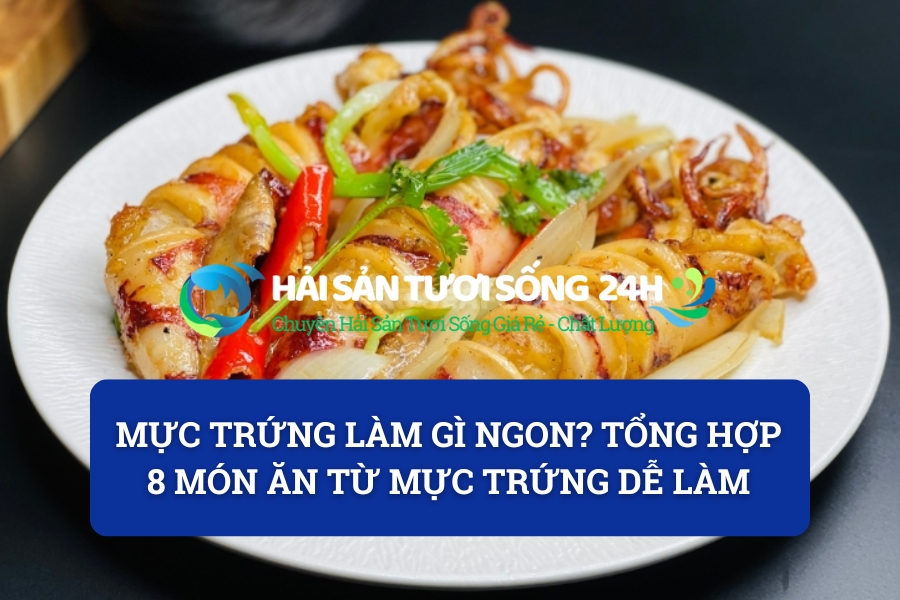 Mực trứng làm gì ngon? Tổng hợp 8 món ăn từ mực trứng dễ làm