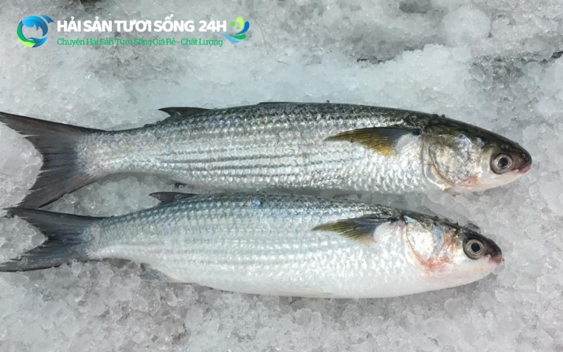 Những lưu ý khi ăn cá đối để đảm bảo an toàn