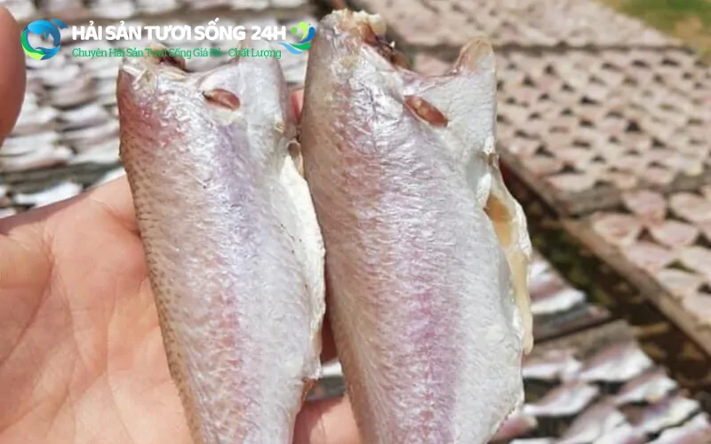 Địa điểm mua cá Đù 1 nắng giá rẻ tại TP Hồ Chí Minh 2 Tại sao cá Đù 1 nắng được nhiều gia đình ưa thích?