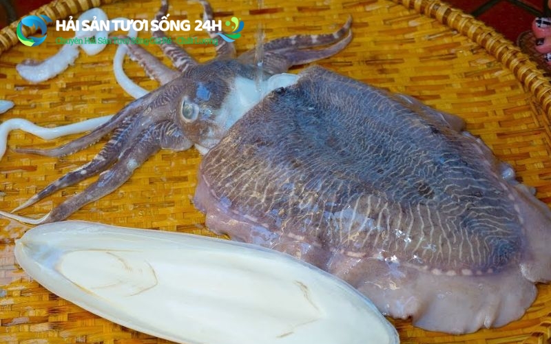 Tại sao mực mai lại được các bà nội trợ săn đón?