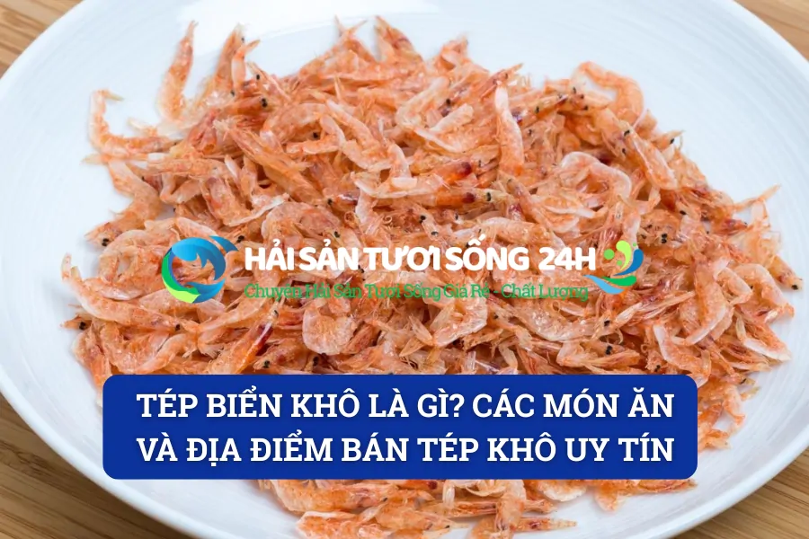Tép biển khô là gì? Các món ăn và địa điểm bán tép khô uy tín