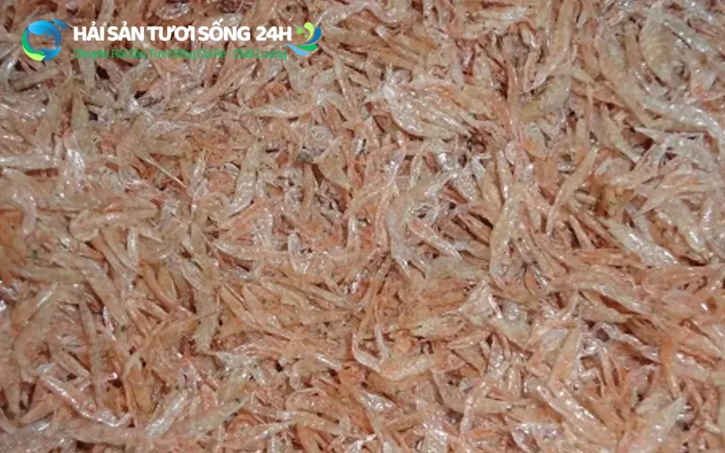 Tép biển khô là gì?