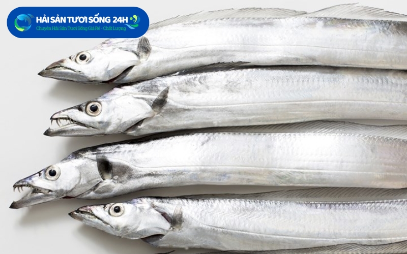 Cá Hố là cá gì?