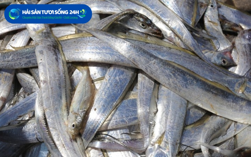 Cách chọn cá Hố tươi ngon chất lượng