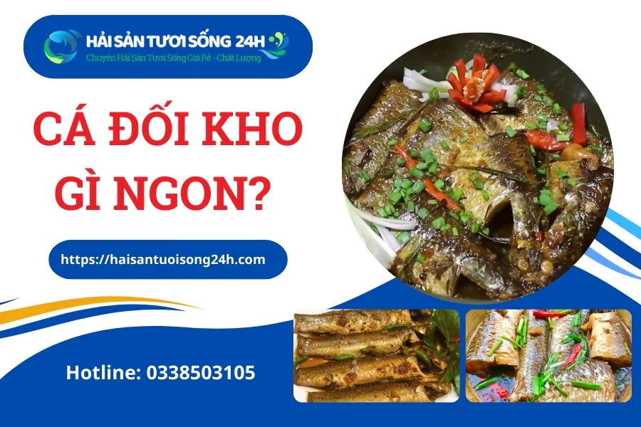 Cá đối kho gì ngon? Tổng hợp 5 cách kho Cá Đối dễ làm tại nhà