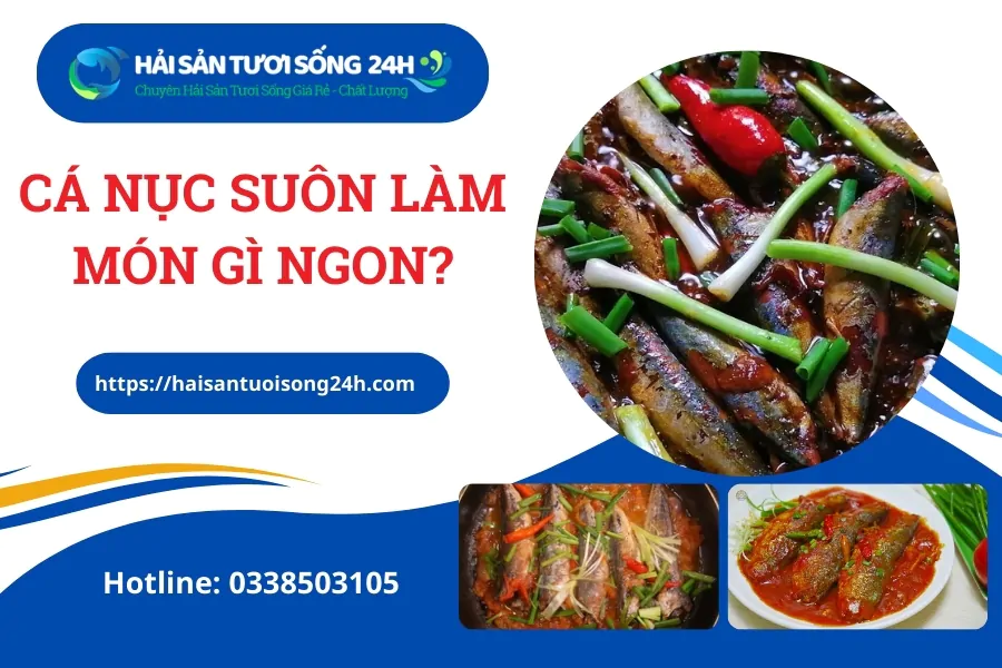 Cá nục suôn làm món gì ngon? Tổng hợp 5 món ăn từ cá Nục dễ làm tại nhà