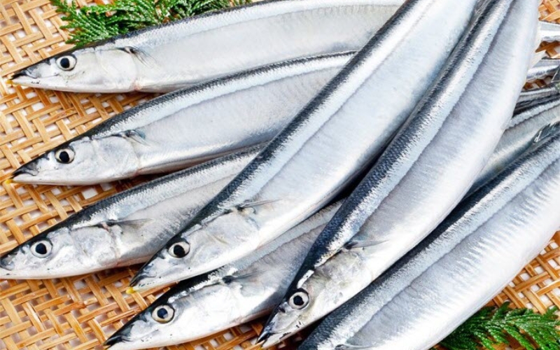 Cá thu Nhật (cá thu đao)