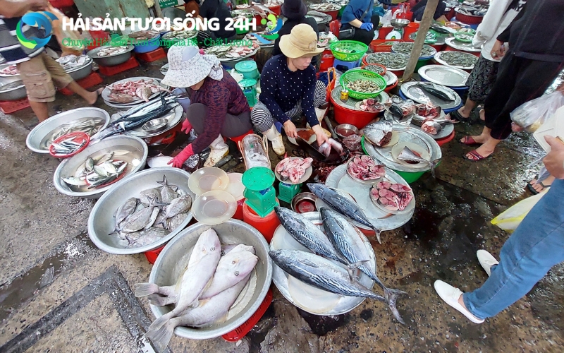 Cách chọn cá Ù tươi ngon không bị ươn