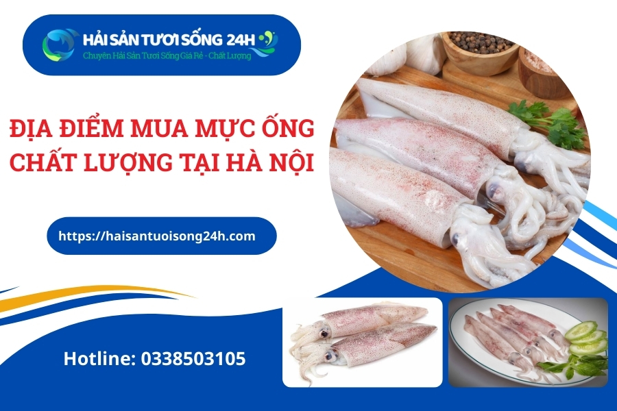 Địa điểm mua Mực Ống chất lượng tại Hà Nội