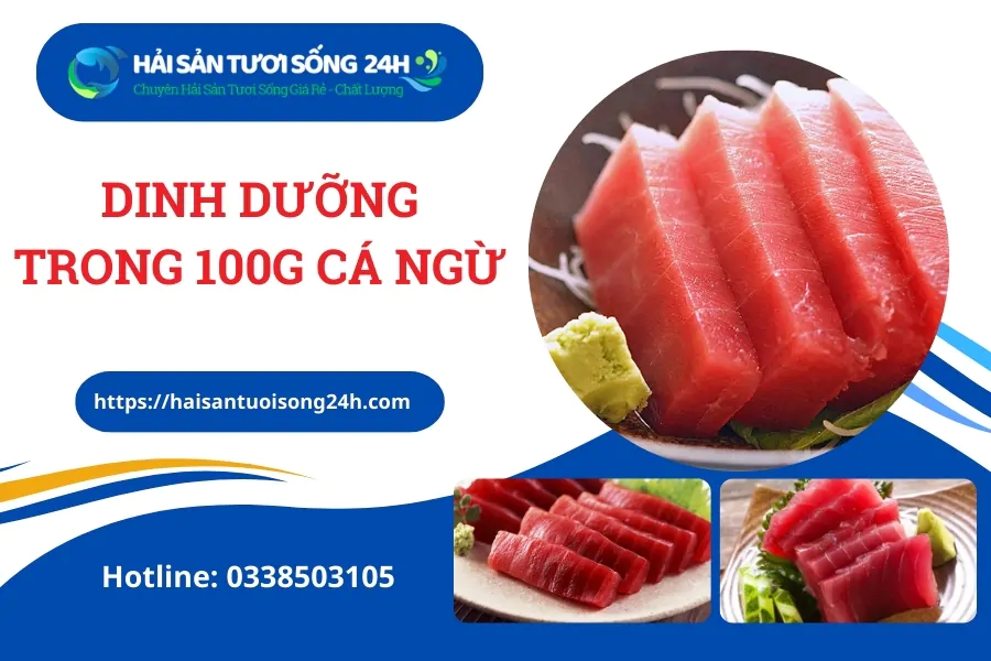 Dinh dưỡng trong 100g cá ngừ – Giá trị thực tế cho sức khỏe