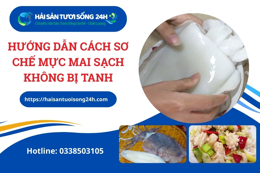 hướng đãn cách sơ chế mực mai sạch không bị tanh