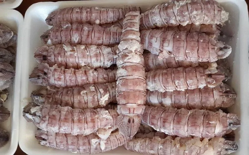 Bề bề bóc nõn làm món gì ngon? Tổng hợp 7 món ăn từ bề bề bóc nõn dễ làm tại nhà 11 Kinh nghiệm chọn mua và rã đông bề bề bóc nõn vẫn giữ được độ tươi ngon