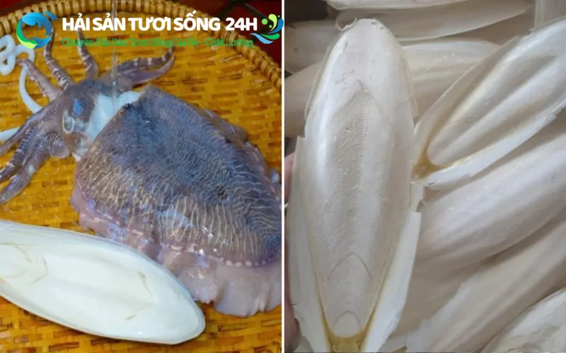 Hướng dẫn cách sơ chế Mực Mai sạch không bị tanh 3 Rút nang và loại bỏ nội tạng