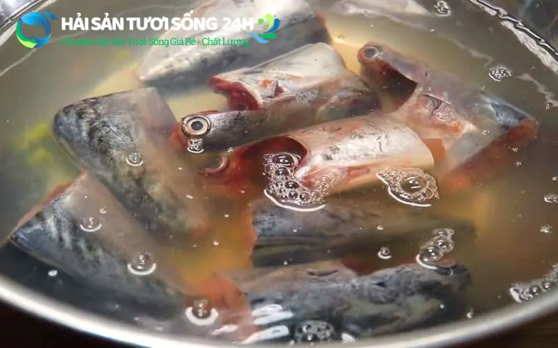 Sơ chế và kỹ thuật khử mùi tanh cá ngừ
