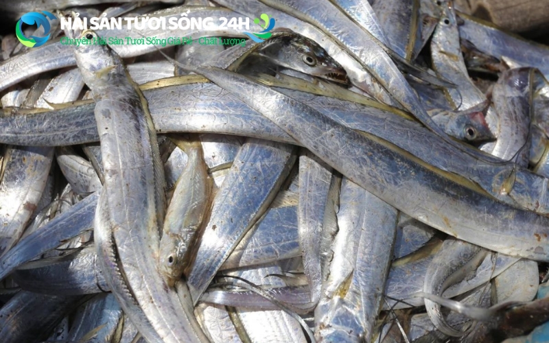 Tại sao cá Hố lại được các gia đình Hà Nội săn đón?