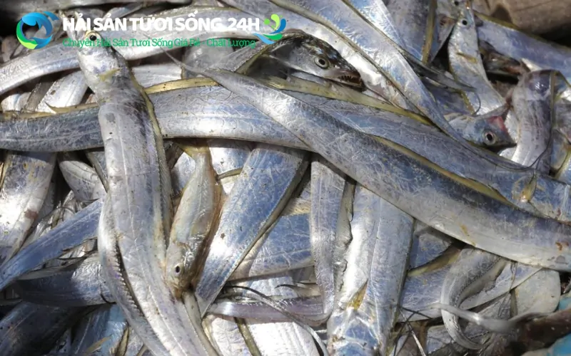 Tại sao cá Hố lại được các gia đình Hà Nội săn đón?