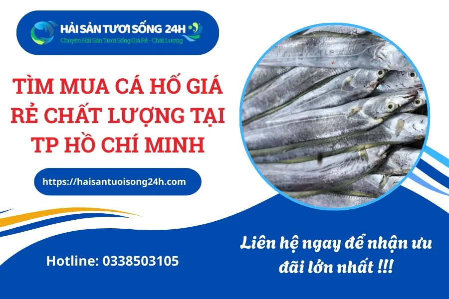 Tìm mua cá Hố giá rẻ chất lượng tại TP Hồ Chí Minh