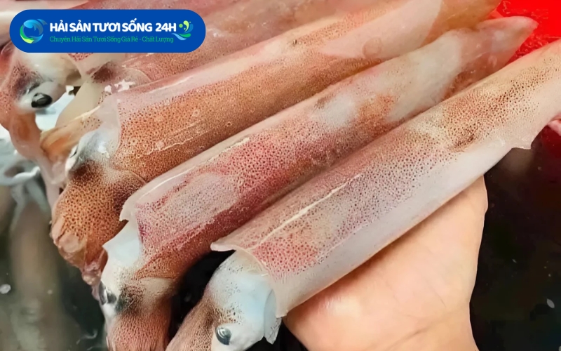 Tiêu chí chọn địa điểm bán mực trứng tươi ngon tại TP Hồ Chí Minh