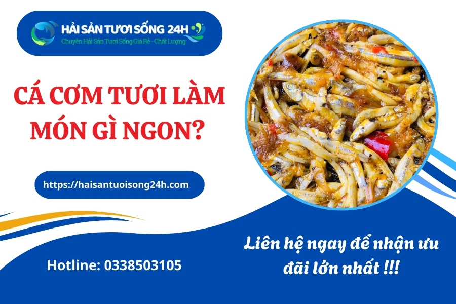 Cá cơm tươi làm món gì ngon