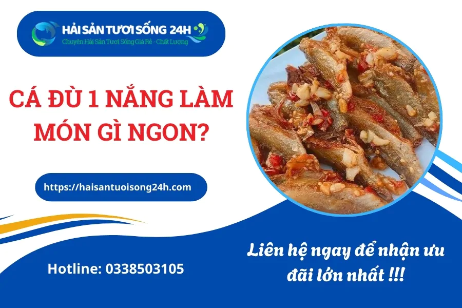 Cá Đù 1 nắng làm món gì ngon? Tổng hợp các món ăn từ cá Đù 1 nắng dễ làm tại nhà