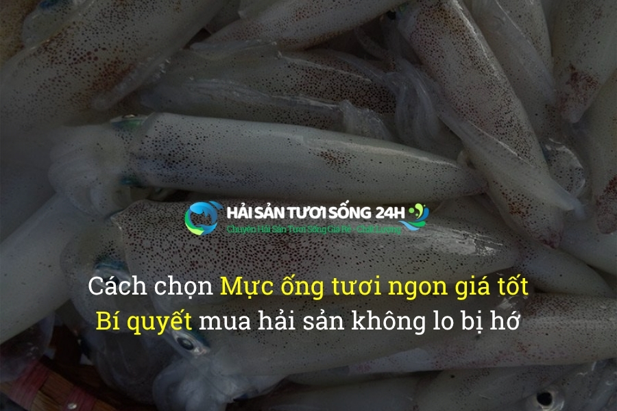 cach chon muc ong tuoi ngon gia tot bi quyet mua hai san khong lo bi ho