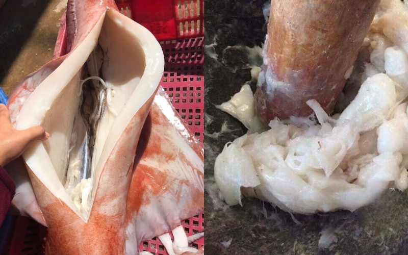 Cách làm chả mực giã tay truyền thống