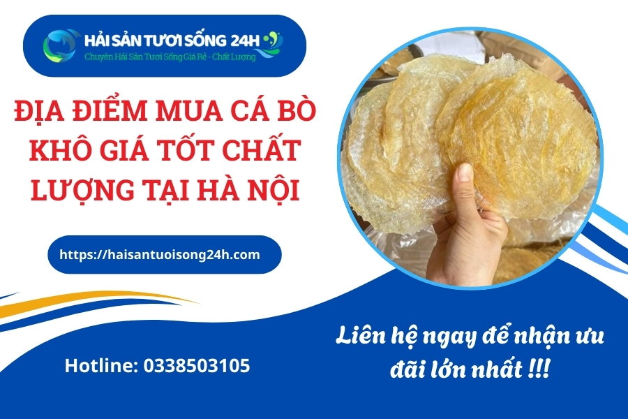 Địa điểm mua Cá Bò Khô giá tốt chất lượng tại Hà Nội