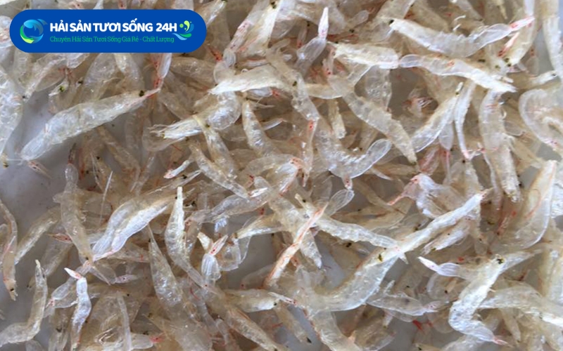 Địa điểm mua tép biển khô giá rẻ chất lượng tại TP Hồ Chí Minh