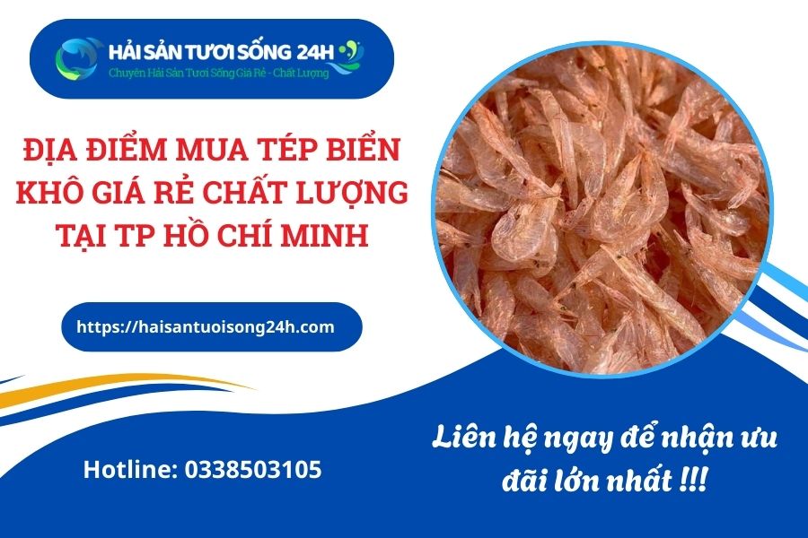 Địa Điểm Mua Tép Biển Khô Giá Rẻ Chất Lượng Tại TP Hồ Chí Minh