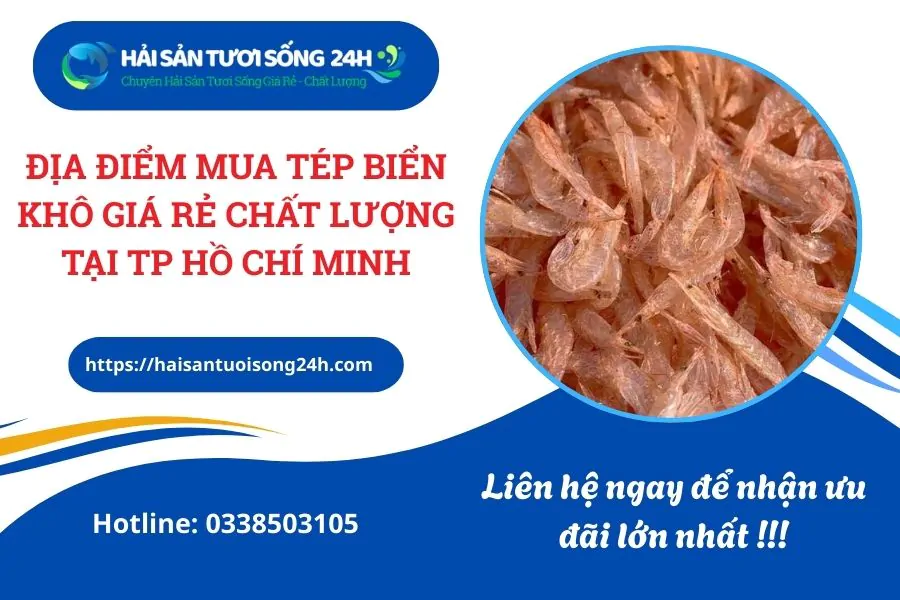 Địa Điểm Mua Tép Biển Khô Giá Rẻ Chất Lượng Tại TP Hồ Chí Minh