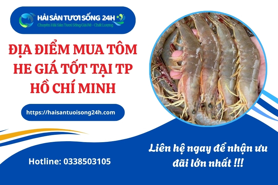 Địa điểm mua tôm he giá tốt tại tp Hồ Chí Minh