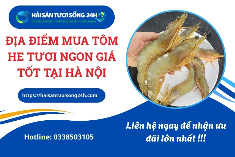 Địa điểm mua Tôm He tươi ngon giá tốt tại Hà Nội