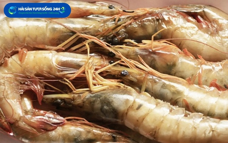 Địa điểm mua tôm he giá tốt tại tp Hồ Chí Minh 3 gia tom he tai tp ho chi minh moi nhat 2026