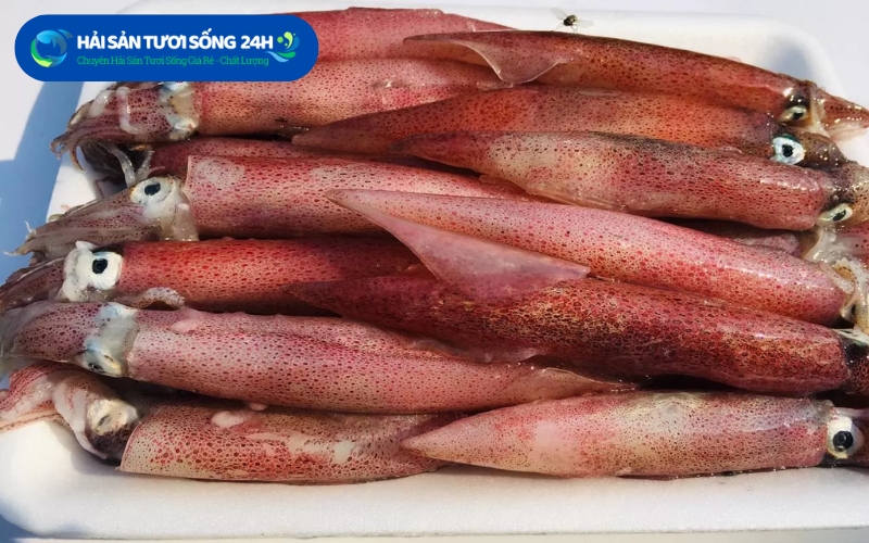 Hải Sản Tươi Sống 24h - Địa điểm bán mực trứng uy tín tại TP Hồ Chí Minh