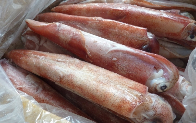 Cách chọn mực ống tươi ngon giá tốt - Bí quyết mua hải sản không lo bị hớ 5 Mẹo mua Mực ống tươi