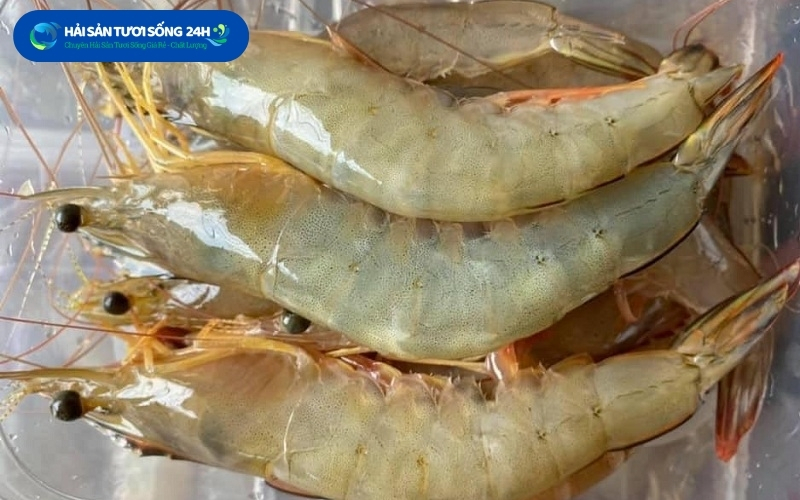 Địa điểm mua tôm he giá tốt tại tp Hồ Chí Minh 5 meo mua tom he tuoi ngon chat luong