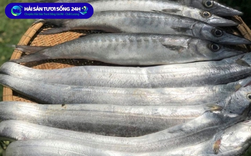 7 mẹo chọn cá hố tươi ngon thịt chắc