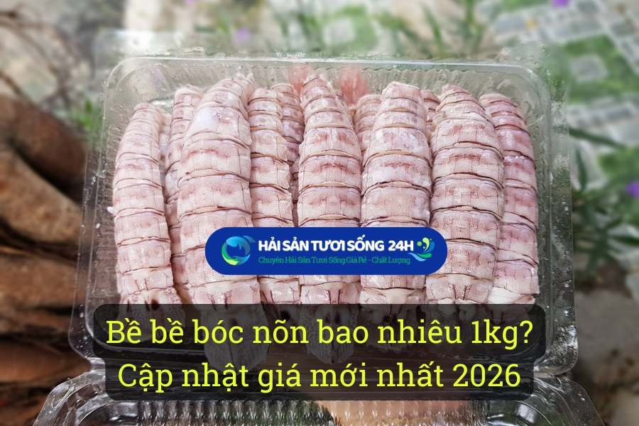 Bề bề bóc nõn bao nhiêu 1kg? Cập nhật giá mới nhất 2026