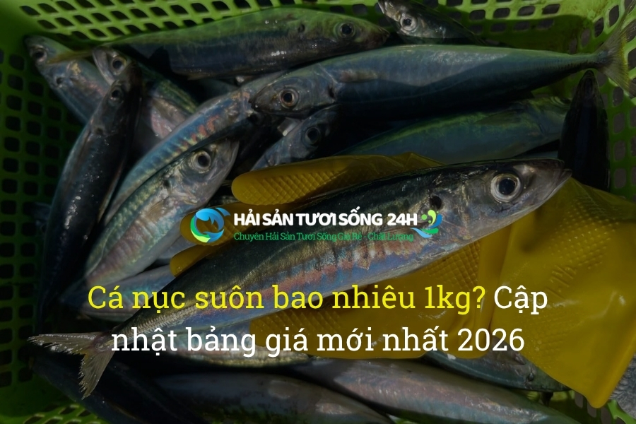 Cá nục suôn bao nhiêu 1kg