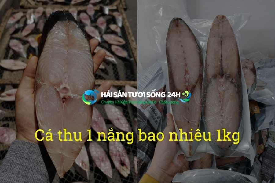Cá thu 1 nắng bao nhiêu 1kg