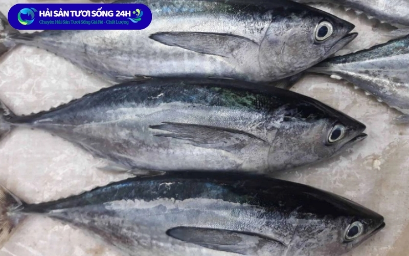 Cách chọn cá ù tươi ngon