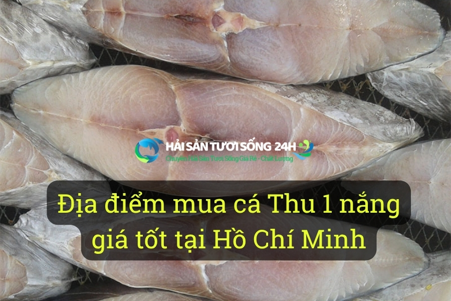 Địa điểm mua cá Thu 1 nắng giá tốt tại Hồ Chí Minh