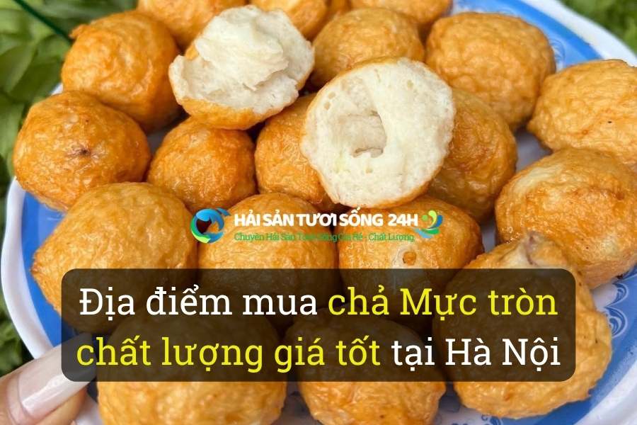 Địa điểm mua chả Mực tròn chất lượng giá tốt tại Hà Nội