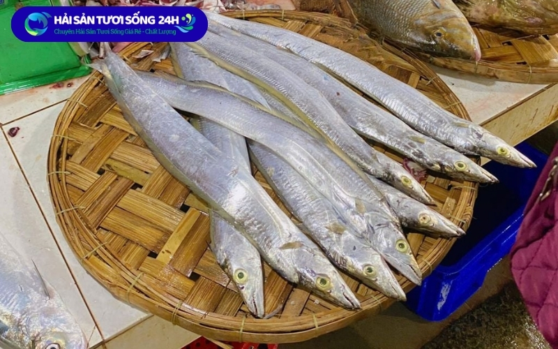 Mua cá hố ở đâu tươi ngon giá tốt